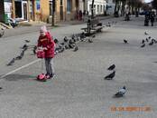 Хобби, увлечения Искусство, Фото