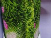 Мебель, интерьер Ковры, Фото