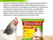 Птицеводство Корм, Фото