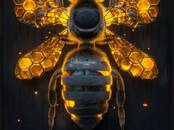 Животноводство,  Сельхоз животные Другое, Фото