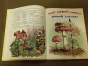 Книги Детская литература, Фото