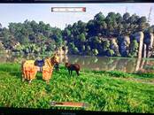 Компьютеры, оргтехника Компьютеры, Фото