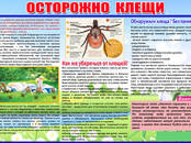 Отдых, увлечения Всё остальное ..., Фото