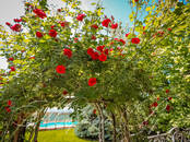 Дома, хозяйства,  Ростовская область Другое, Фото