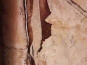 Женская одежда Дублёнки, Фото