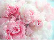 Ищут работу (Поиск работы) Строитель, Фото