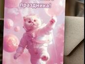 Билеты, концерты, куда пойти Организация праздников, мероприятий, Фото