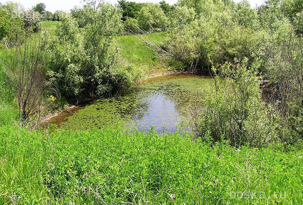 озеро продам северский район краснодарский край осень