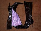 Обувь,  Женская обувь Сапоги, цена 2 000 рублей, Фото