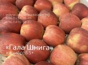 Продовольствие Фрукты, цена 10 рублей/кг., Фото