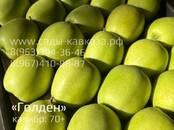 Продовольствие Фрукты, цена 10 рублей/кг., Фото