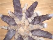 Женская одежда Аксессуары, цена 250 рублей, Фото