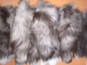 Женская одежда Аксессуары, цена 250 рублей, Фото