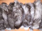 Женская одежда Аксессуары, цена 250 рублей, Фото