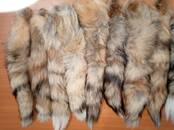 Женская одежда Аксессуары, цена 250 рублей, Фото