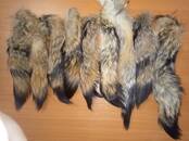 Женская одежда Аксессуары, цена 250 рублей, Фото