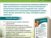 Животноводство Корм, Фото