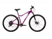 Спорт, активный отдых Разное, Фото