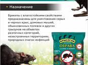 Сельское хозяйство Разное, Фото