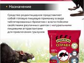 Сельское хозяйство Разное, Фото