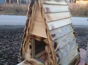 Животные Разное, Фото