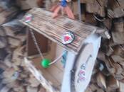 Животные Разное, Фото