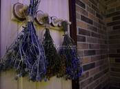 Отдых, увлечения Всё остальное ..., Фото