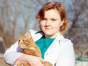 Ветеринария Ветеринары и ветеринарные клиники, Фото