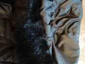 Женская одежда Пальто, Фото