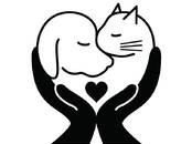 Ветеринария Другое, Фото