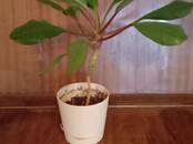 Отдых, увлечения Всё остальное ..., Фото